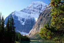 上海五星体育手机能免费直播吗？怎么看？