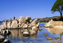 2024年全国女排冠军赛最新战况如何？